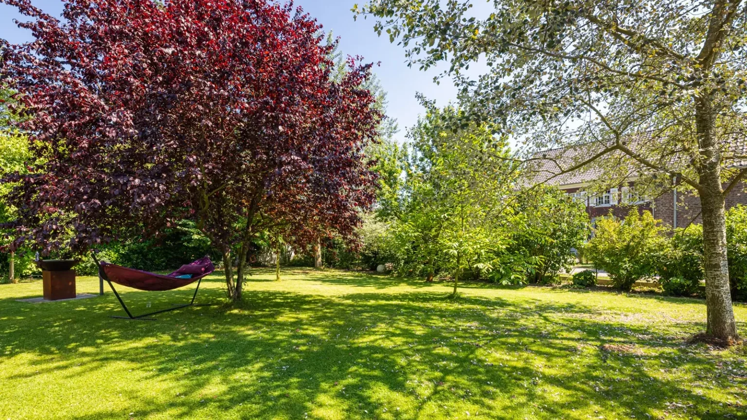 Ein wunderbarer grüner Garten mit eine Hängematte unter einem Baum.